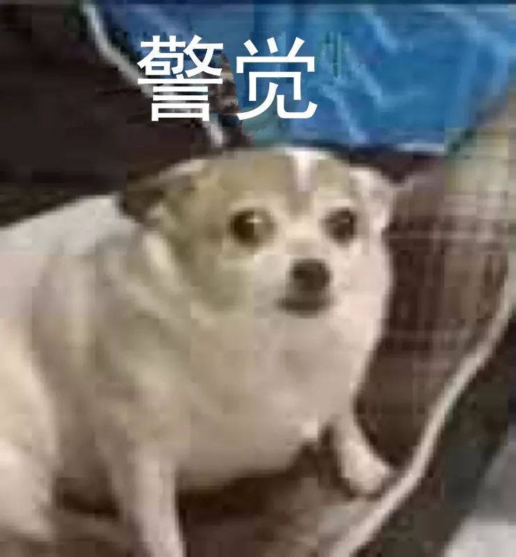 女子旅游时竟查出传染病!感染途径万万想不到...