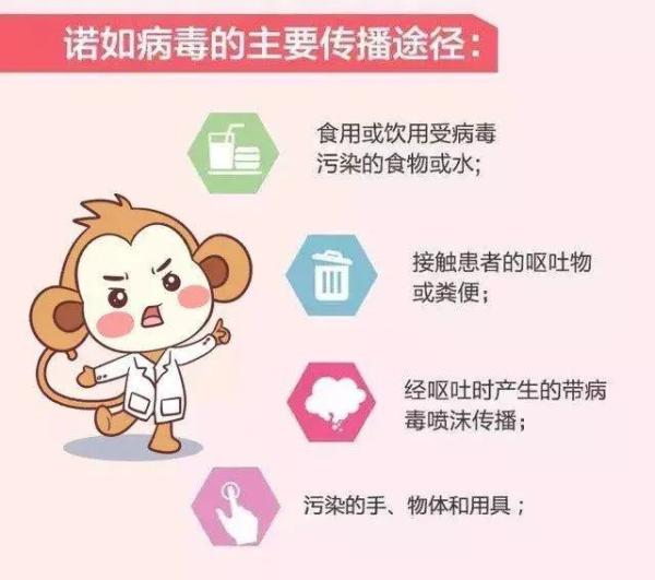 “诺如病毒”高发季,家长老师需警惕