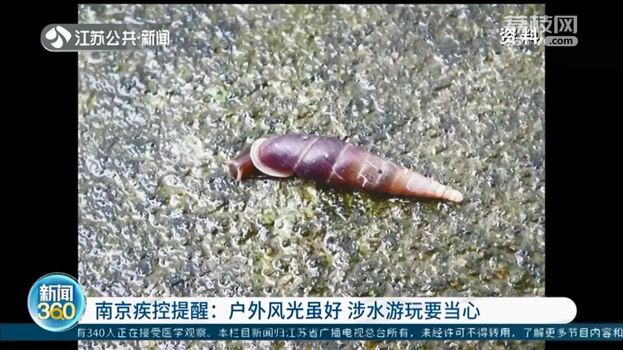 南京疾控提醒:涉水游玩要当心 这个季节要防范血吸虫