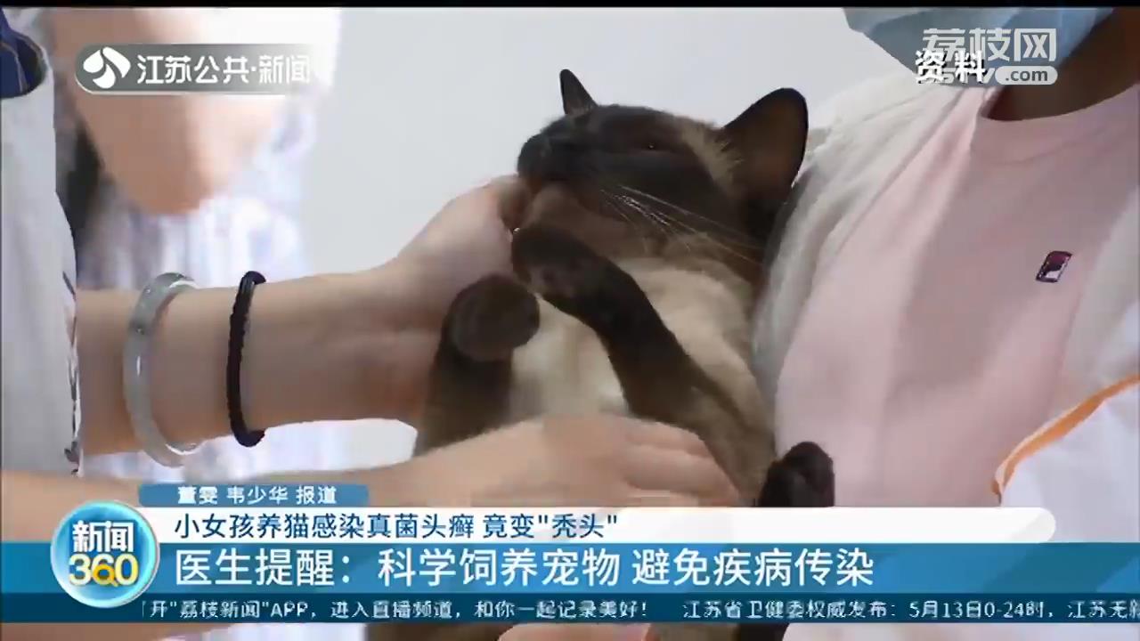 女孩养猫感染真菌头癣变“秃头”，医生：科学养宠物，避免传染病