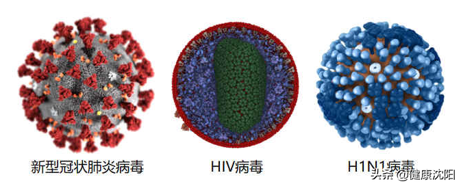 新型冠状病毒肺炎是一种急性感染性肺炎,其病原体是一种先前未在人类